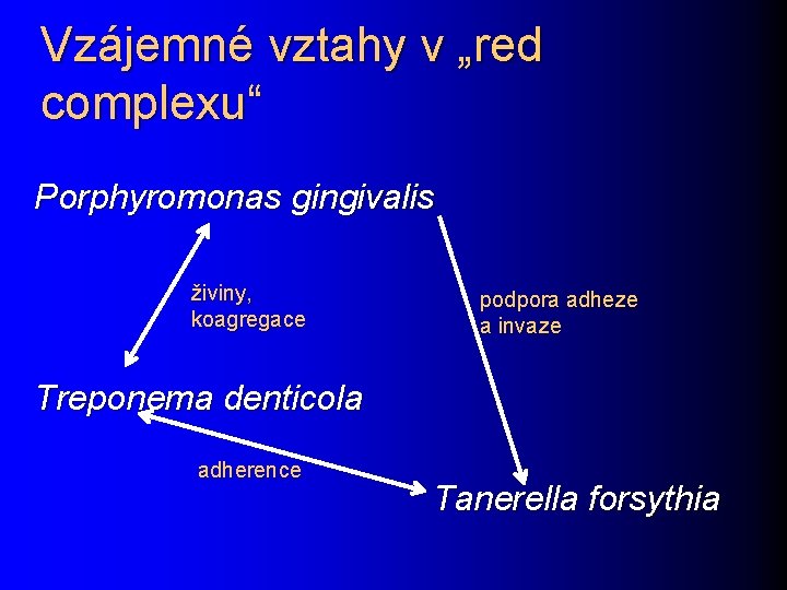 Vzájemné vztahy v „red complexu“ Porphyromonas gingivalis živiny, koagregace podpora adheze a invaze Treponema