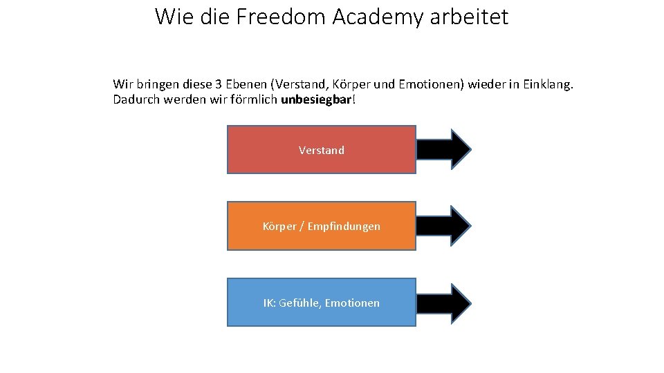 Wie die Freedom Academy arbeitet Wir bringen diese 3 Ebenen (Verstand, Körper und Emotionen)