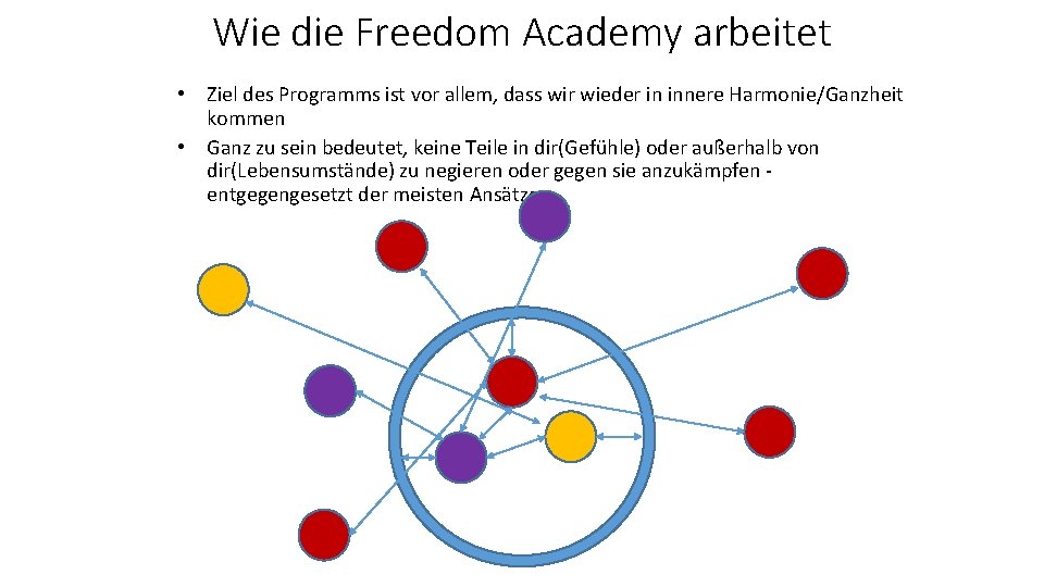 Wie die Freedom Academy arbeitet • Ziel des Programms ist vor allem, dass wir