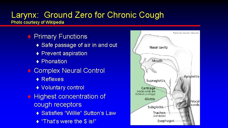 Larynx: Ground Zero for Chronic Cough Photo courtesy of Wikipedia ♦ Primary Functions ♦