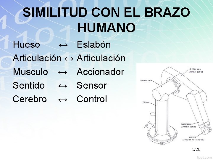 SIMILITUD CON EL BRAZO HUMANO Hueso ↔ Articulación ↔ Musculo ↔ Sentido ↔ Cerebro
