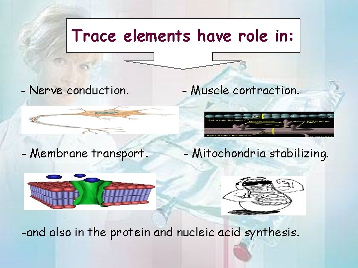 Trace elements have role in: - Nerve conduction. - Muscle contraction. - Membrane transport.