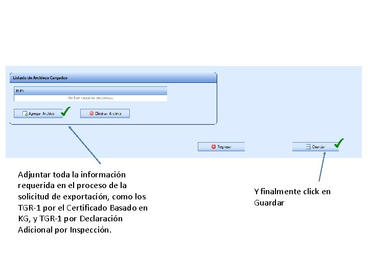 Adjuntar toda la información requerida en el proceso de la solicitud de exportación, como