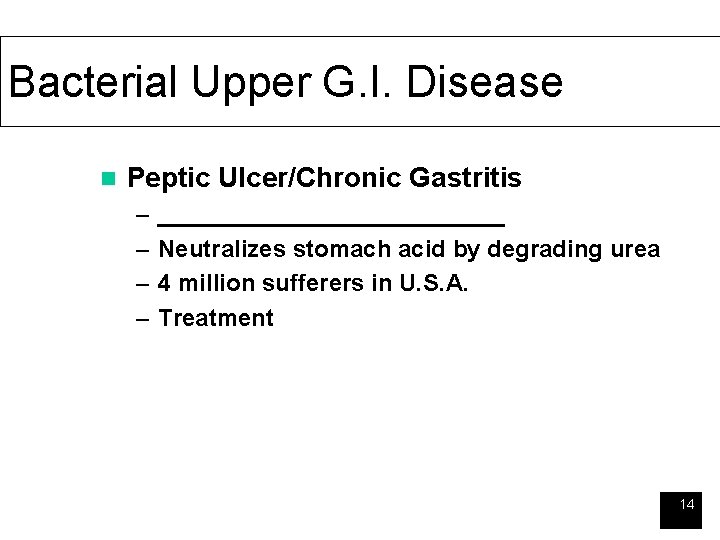 Bacterial Upper G. I. Disease n Peptic Ulcer/Chronic Gastritis – – _____________ Neutralizes stomach