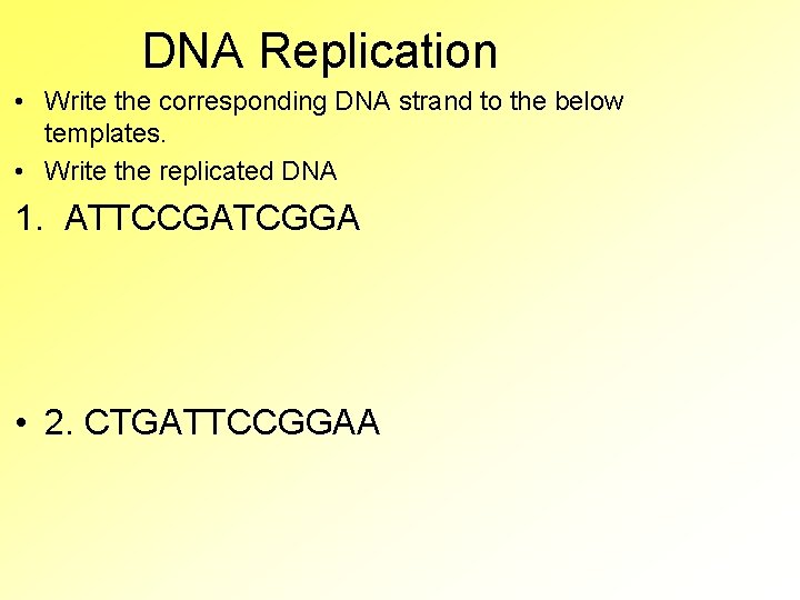 Molecular Biology How Cells Make Proteins Using DNA