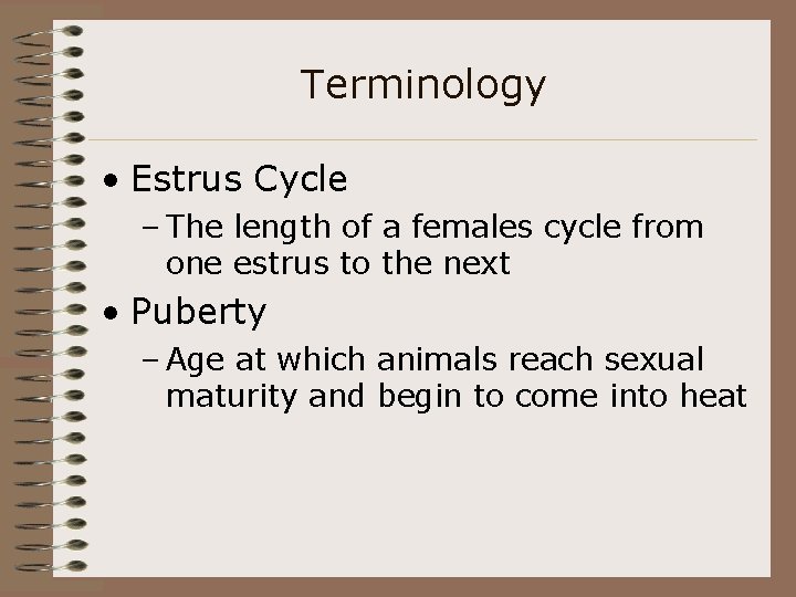 Terminology • Estrus Cycle – The length of a females cycle from one estrus