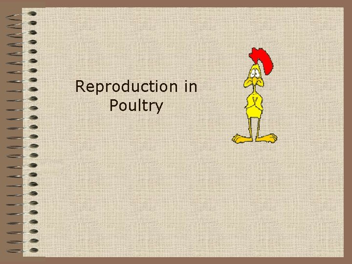 Reproduction in Poultry 