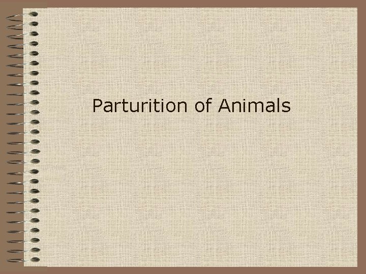 Parturition of Animals 