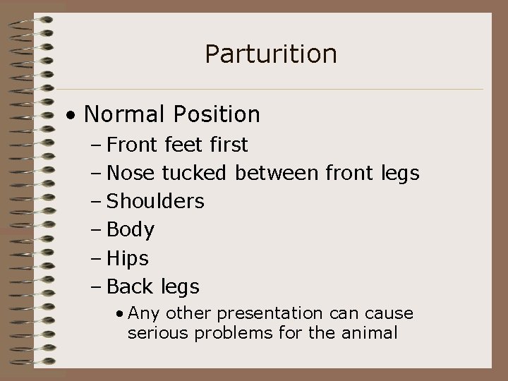 Parturition • Normal Position – Front feet first – Nose tucked between front legs