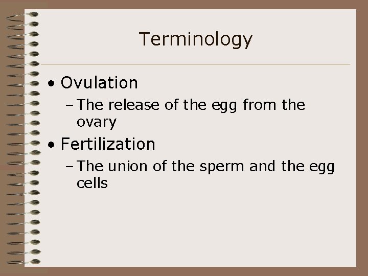 Terminology • Ovulation – The release of the egg from the ovary • Fertilization