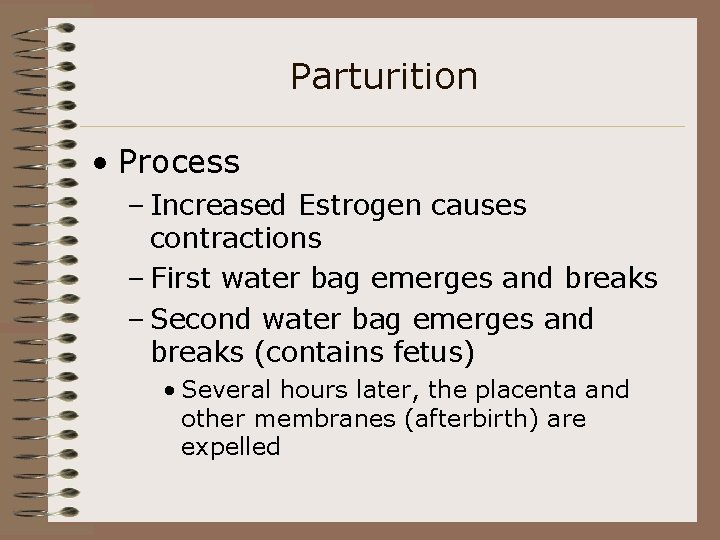 Parturition • Process – Increased Estrogen causes contractions – First water bag emerges and