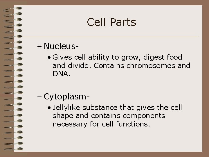 Cell Parts – Nucleus • Gives cell ability to grow, digest food and divide.