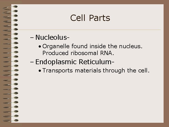 Cell Parts – Nucleolus • Organelle found inside the nucleus. Produced ribosomal RNA. –