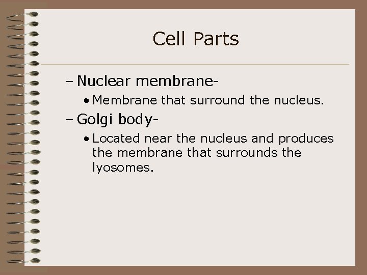 Cell Parts – Nuclear membrane • Membrane that surround the nucleus. – Golgi body