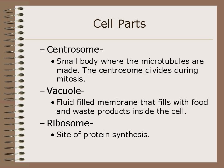 Cell Parts – Centrosome • Small body where the microtubules are made. The centrosome