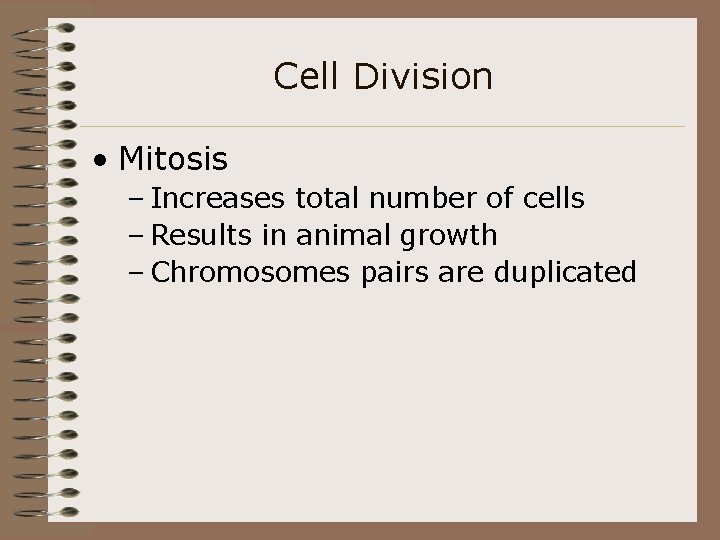 Cell Division • Mitosis – Increases total number of cells – Results in animal