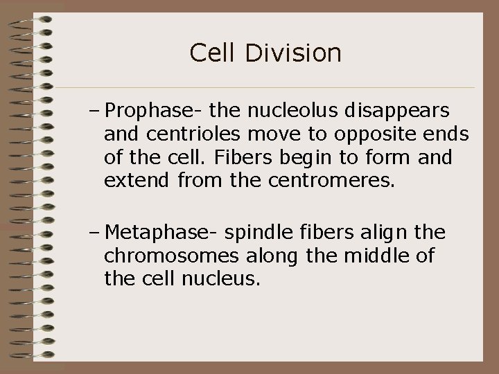 Cell Division – Prophase- the nucleolus disappears and centrioles move to opposite ends of