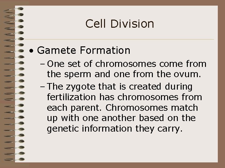 Cell Division • Gamete Formation – One set of chromosomes come from the sperm