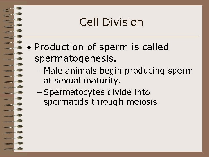 Cell Division • Production of sperm is called spermatogenesis. – Male animals begin producing