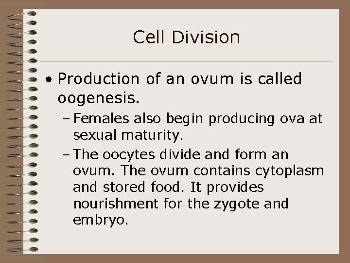 Cell Division • Production of an ovum is called oogenesis. – Females also begin