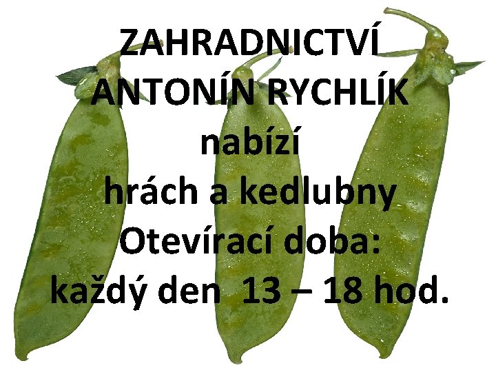 ZAHRADNICTVÍ ANTONÍN RYCHLÍK nabízí hrách a kedlubny Otevírací doba: každý den od 13 do