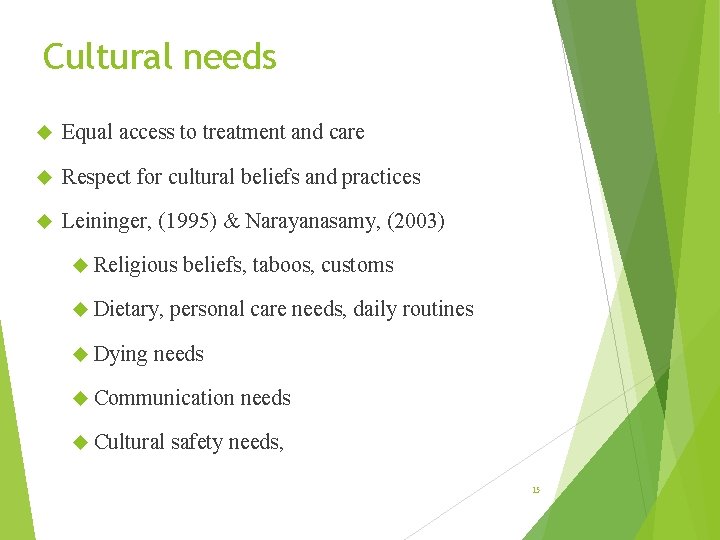 Cultural needs Equal access to treatment and care Respect for cultural beliefs and practices