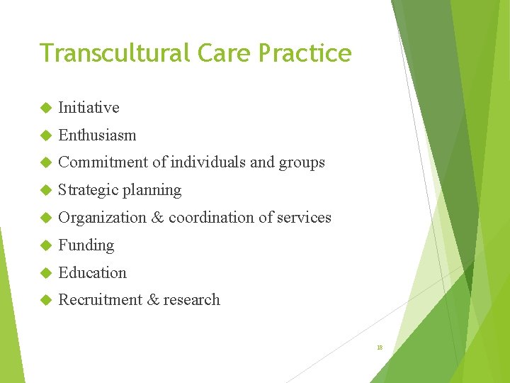 Transcultural Care Practice Initiative Enthusiasm Commitment of individuals and groups Strategic planning Organization &