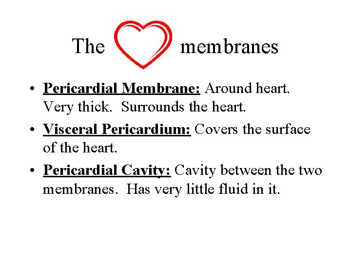 The membranes • Pericardial Membrane: Around heart. Very thick. Surrounds the heart. • Visceral