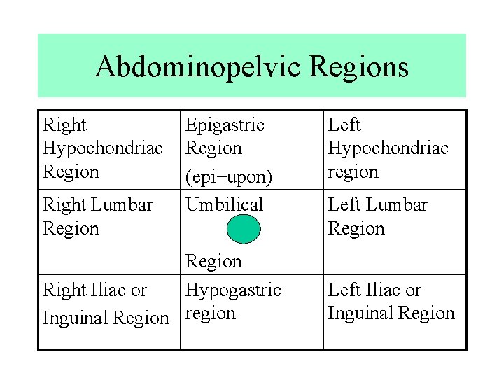 Abdominopelvic Regions Right Hypochondriac Region Right Lumbar Region Epigastric Region (epi=upon) Umbilical Region Right