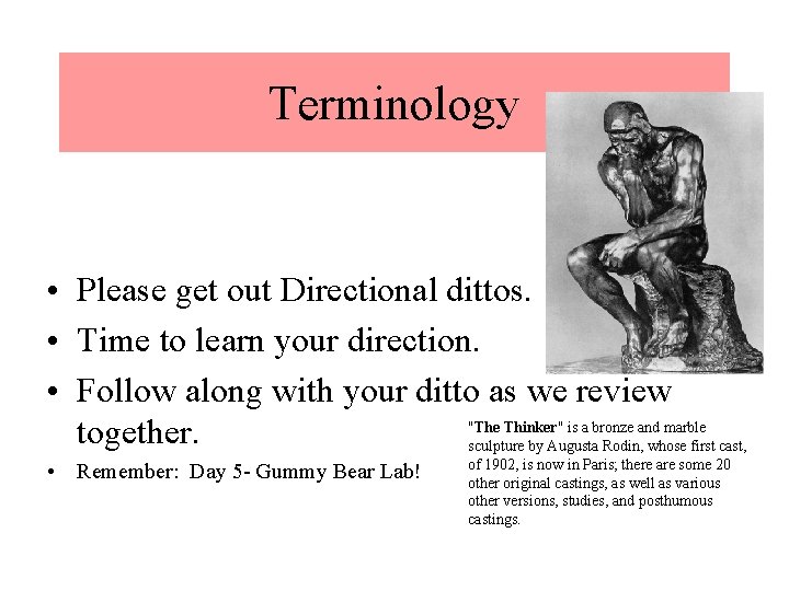 Terminology • Please get out Directional dittos. • Time to learn your direction. •