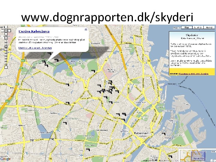www. dognrapporten. dk/skyderi 