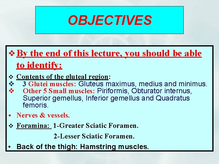 OBJECTIVES v By the end of this lecture, you should be able to identify: