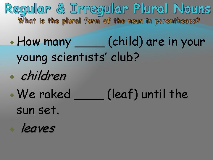 Regular & Irregular Plural Nouns What is the plural form of the noun in