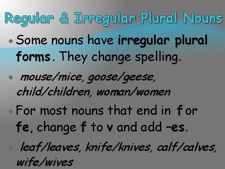 Regular & Irregular Plural Nouns Some nouns have irregular plural forms. They change spelling.