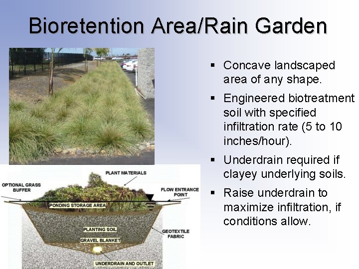 Bioretention Area/Rain Garden § Concave landscaped area of any shape. § Engineered biotreatment soil Bioretention Area/Rain Garden § Concave landscaped area of any shape. § Engineered biotreatment soil