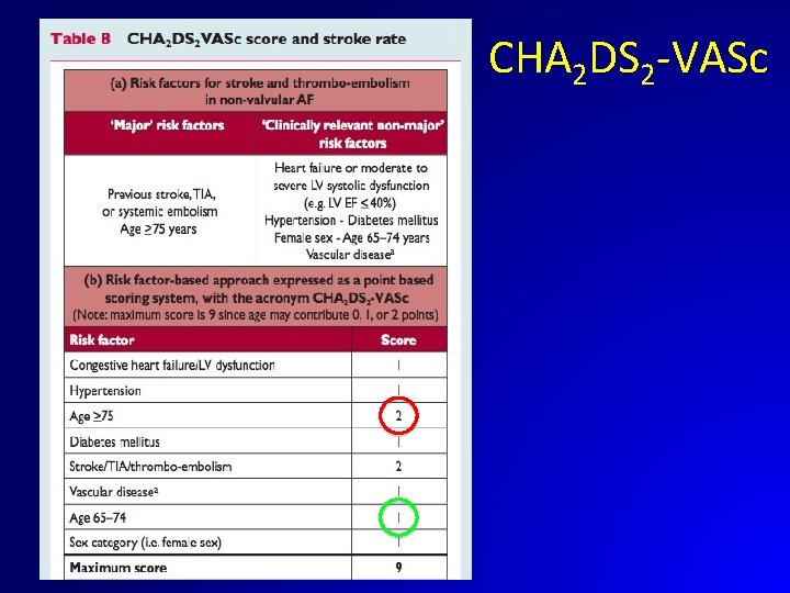 CHA 2 DS 2 -VASc 