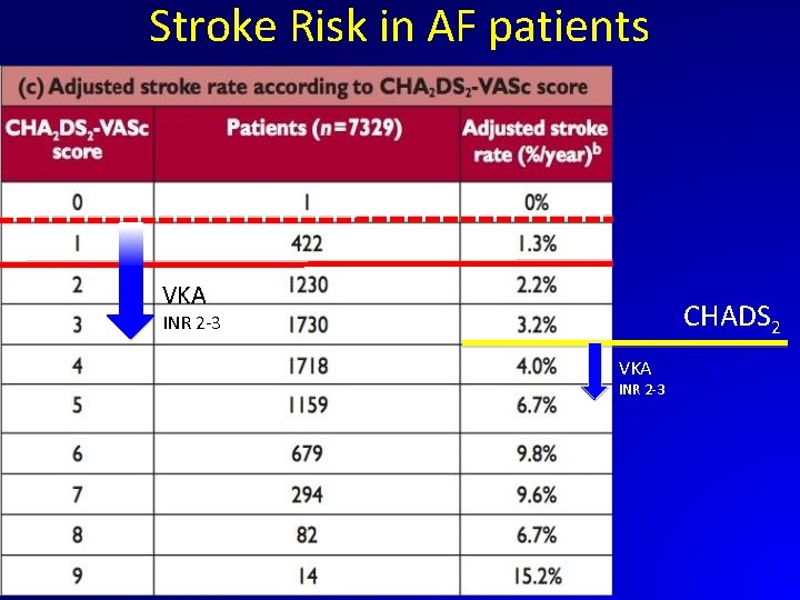 Stroke Risk in AF patients VKA CHADS 2 INR 2 -3 VKA INR 2