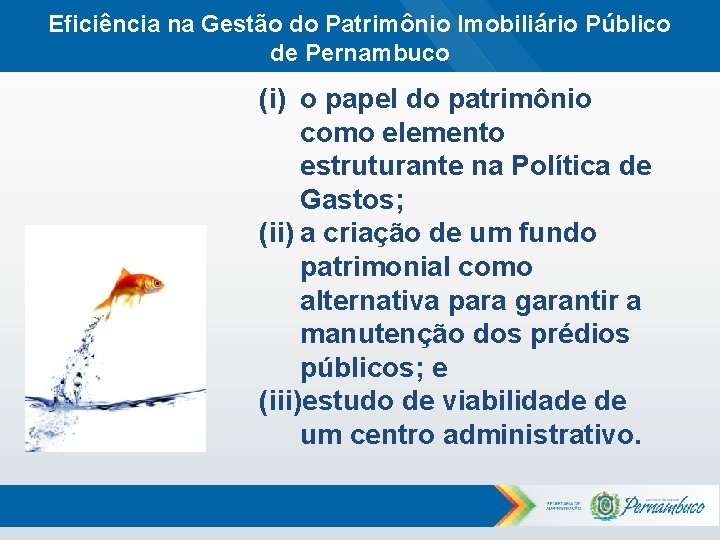 Eficiência na Gestão do Patrimônio Imobiliário Público de Pernambuco (i) o papel do patrimônio