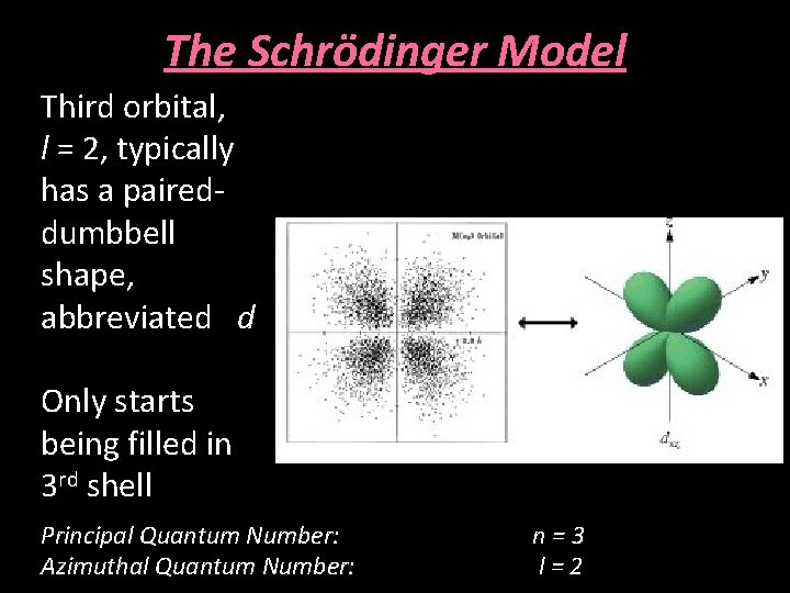 The Schrödinger Model Third orbital, l = 2, typically has a paireddumbbell shape, abbreviated
