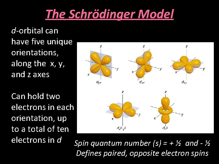 The Schrödinger Model d-orbital can have five unique orientations, along the x, y, and