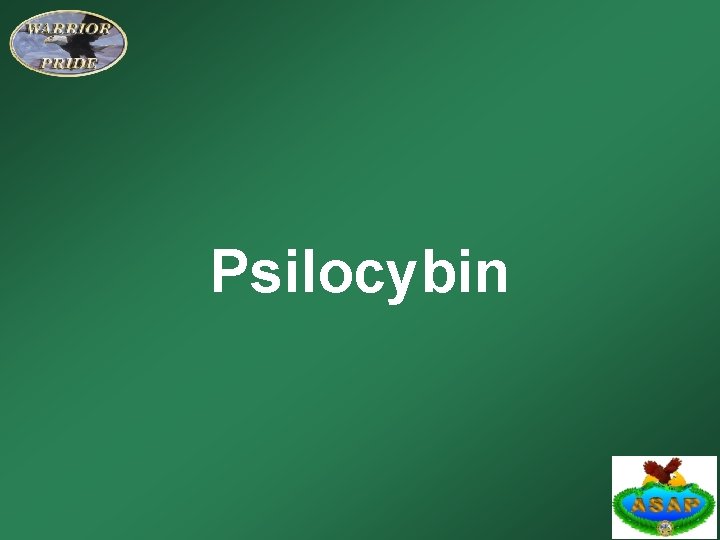 Psilocybin 