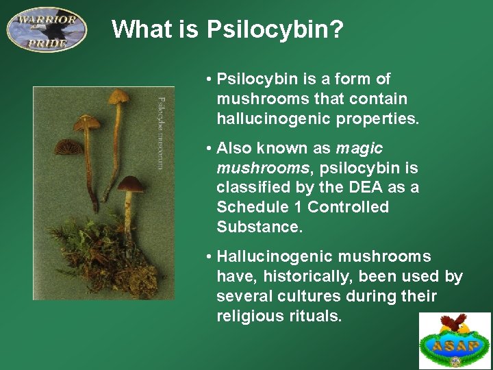 What is Psilocybin? • Psilocybin is a form of mushrooms that contain hallucinogenic properties.