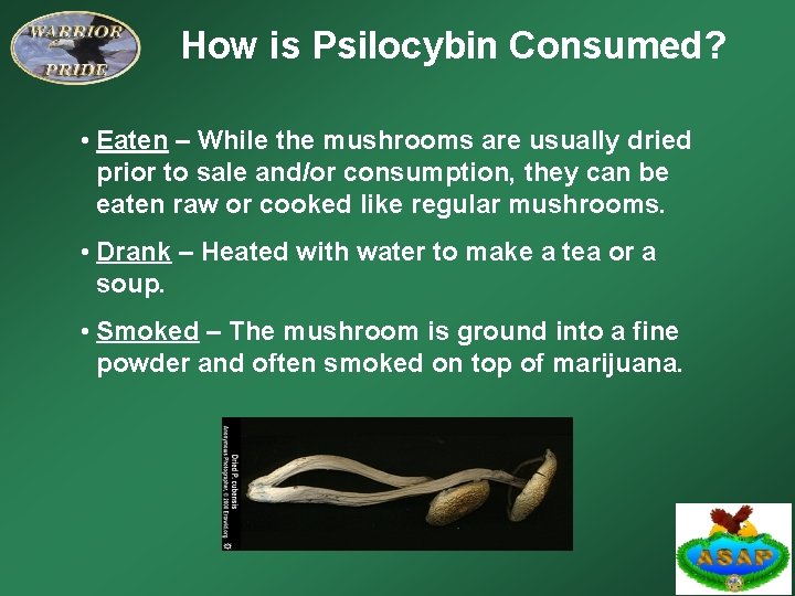 How is Psilocybin Consumed? • Eaten – While the mushrooms are usually dried prior