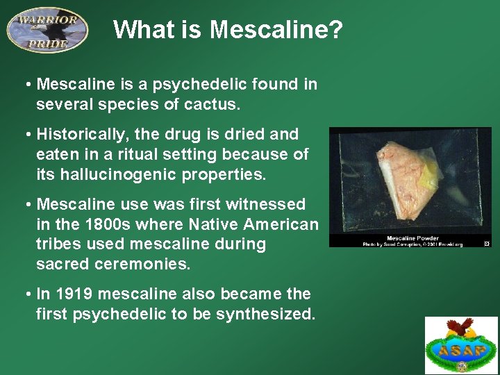 What is Mescaline? • Mescaline is a psychedelic found in several species of cactus.