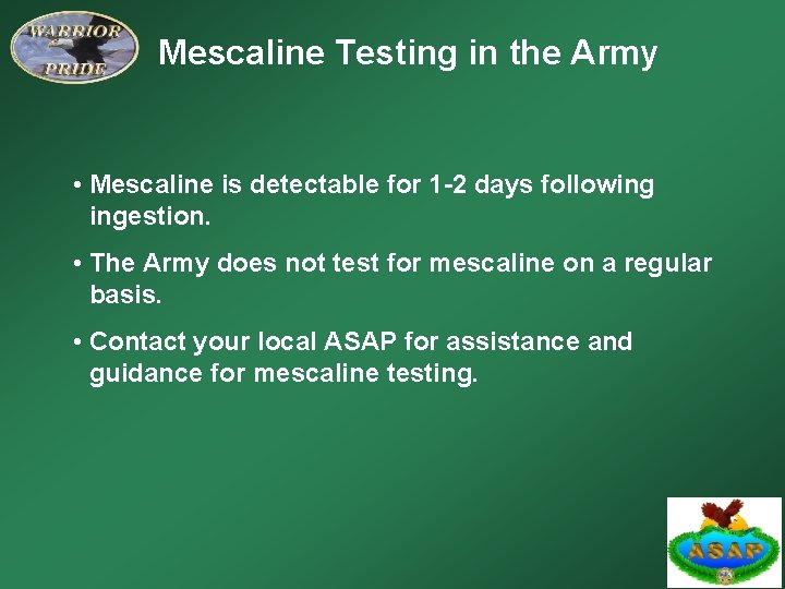 Mescaline Testing in the Army • Mescaline is detectable for 1 -2 days following