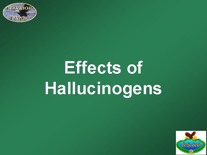 Effects of Hallucinogens 