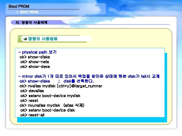 Boot PROM 1. BOOT PROM 4). 명령어 사용예제 명령어 사용방법 - physical path 보기