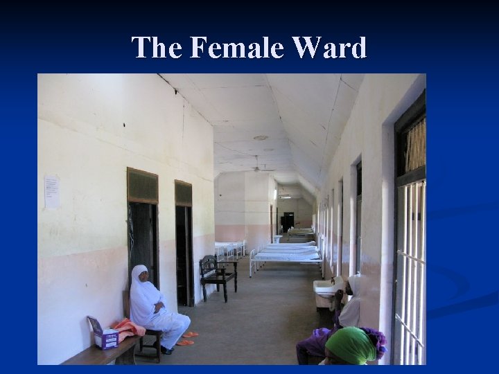 The Female Ward 