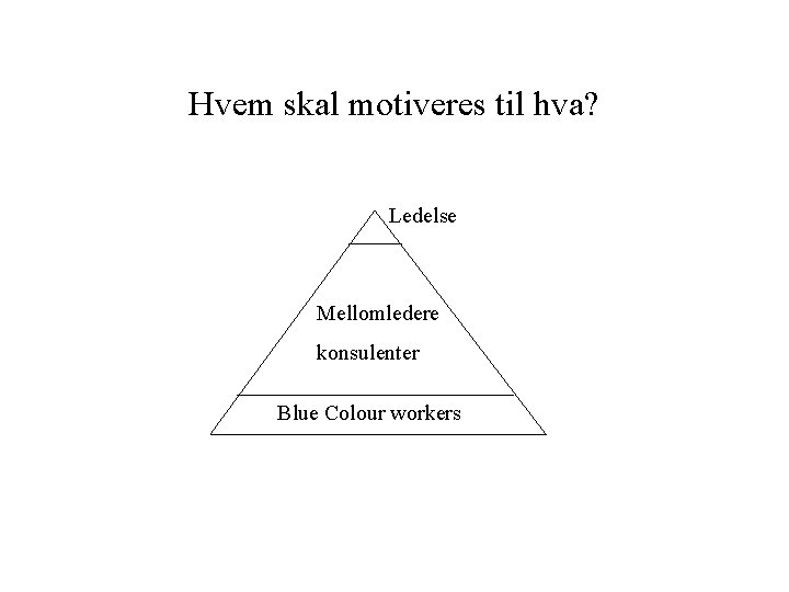 Hvem skal motiveres til hva? Ledelse Mellomledere konsulenter Blue Colour workers 