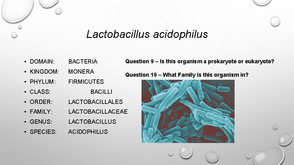 BINOMIAL NOMENCLATURE PRACTICE PROPERLY STRUCTURING SCIENTIFIC NAMES 3